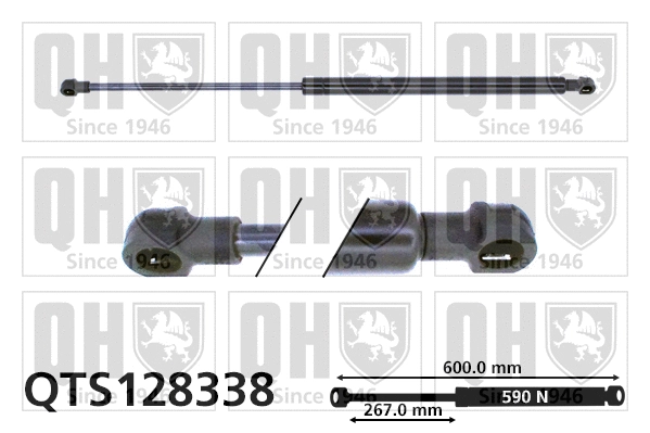 Gas Spring, boot/cargo area (QTS128338)