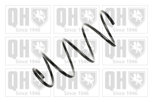 Suspension Spring (QCS6660)