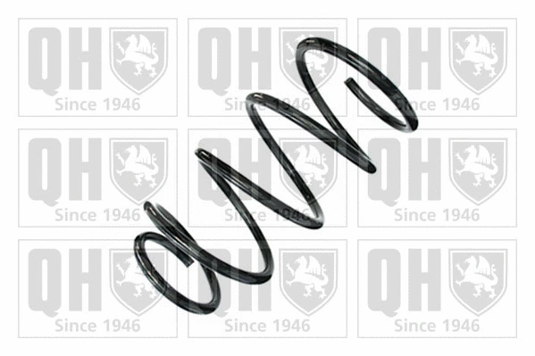 Suspension Spring (QCS6559)