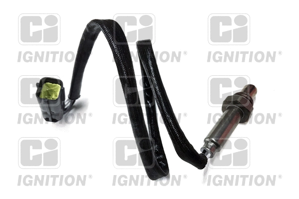 Lambda Sensor (XLOS1225)