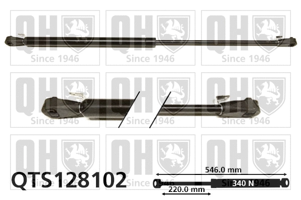 Gas Spring, boot/cargo area (QTS128102)