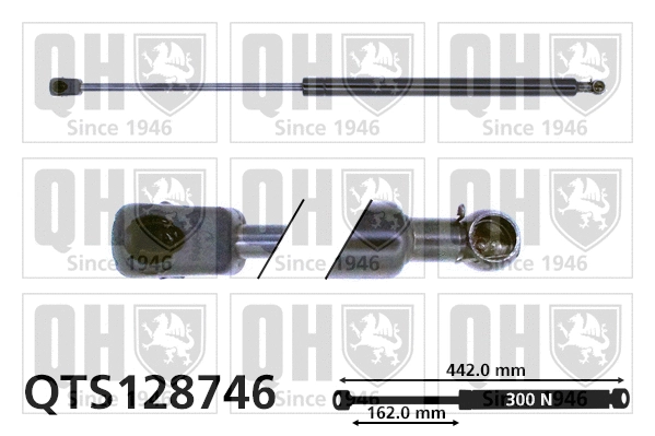 Gas Spring, bonnet (QTS128746)