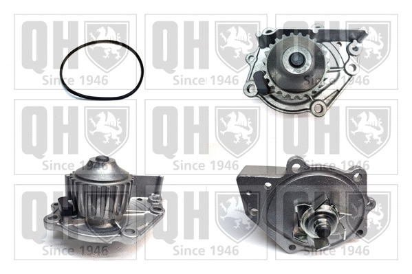 Water Pump, engine cooling (QCP2743)
