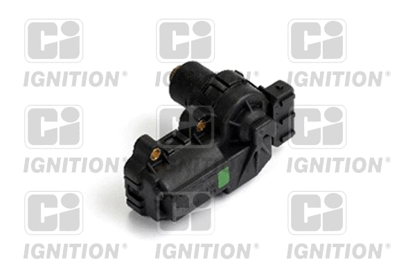 Acuator, throttle valve (XICV10)