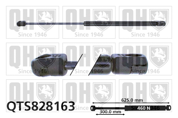 Gas Spring, boot/cargo area (QTS828163)