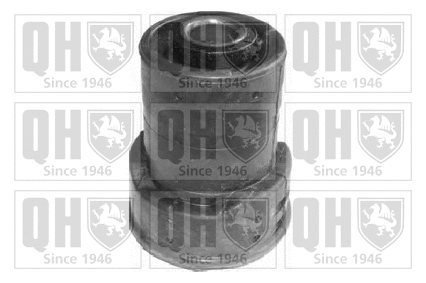 Mounting, control/trailing arm (EMS8532)