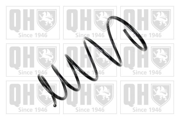 Suspension Spring (QCS7251)