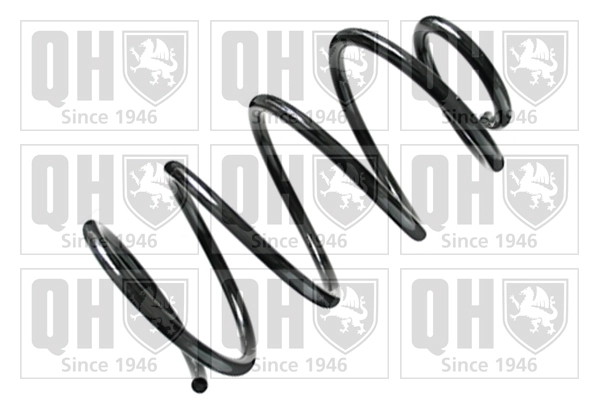 Suspension Spring (QCS8447)