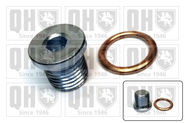 Screw Plug, oil sump (QOC1017)