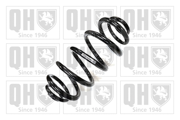 Suspension Spring (QCS6421)