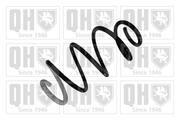 Suspension Spring (QCS8694)