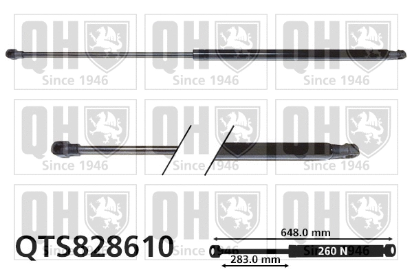 Gas Spring, boot/cargo area (QTS828610)