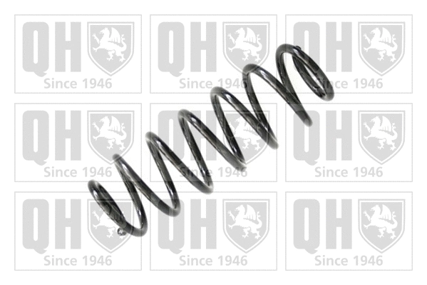 Suspension Spring (QCS8099)