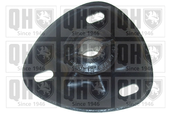 Suspension Strut Support Mount (EMR1762)