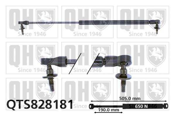 Gas Spring, boot/cargo area (QTS828181)