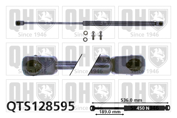 Gas Spring, boot/cargo area (QTS128595)