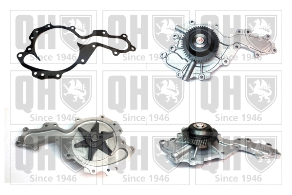 Water Pump, engine cooling (QCP3634)