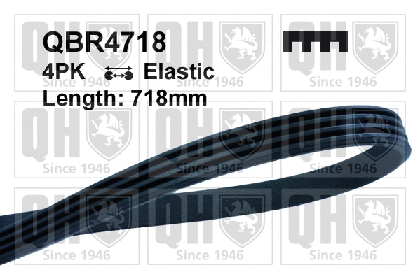 V-Ribbed Belt (QBR4718)