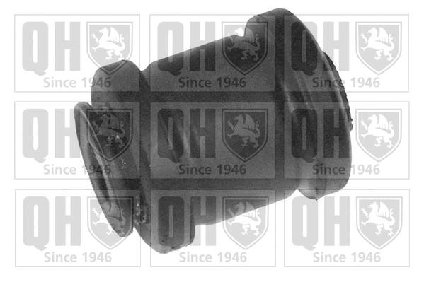 Mounting, control/trailing arm (EMS2634)