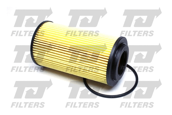 Oil Filter (QFL0159)