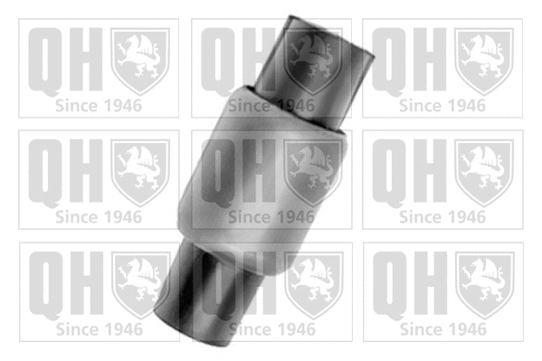 Mounting, control/trailing arm (EMS8308)