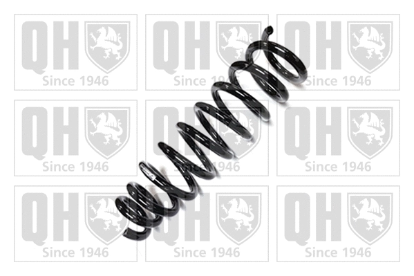 Suspension Spring (QCS7169)