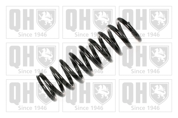 Suspension Spring (QCS6374)