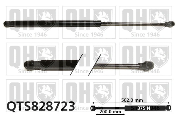 Gas Spring, boot/cargo area (QTS828723)