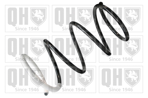 Suspension Spring (QCS6385)