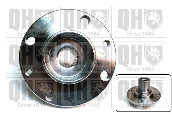 Wheel Hub (QWH113)