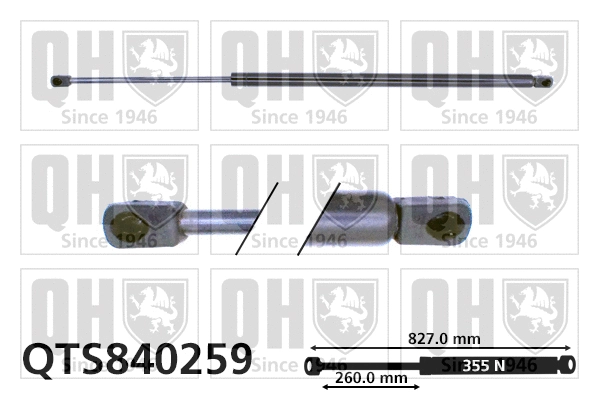Gas Spring, boot/cargo area (QTS840259)