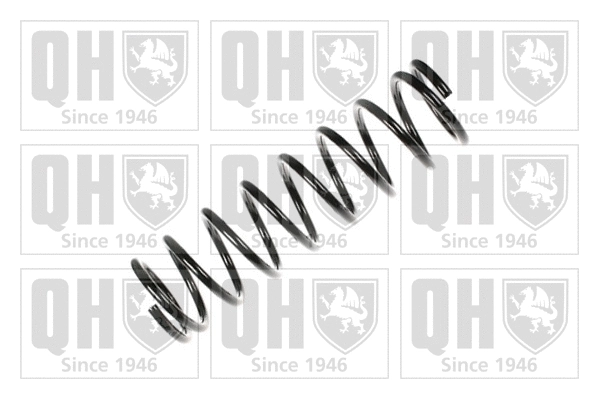 Suspension Spring (QCS7548)