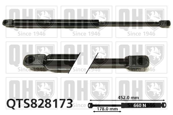Gas Spring, boot/cargo area (QTS828173)