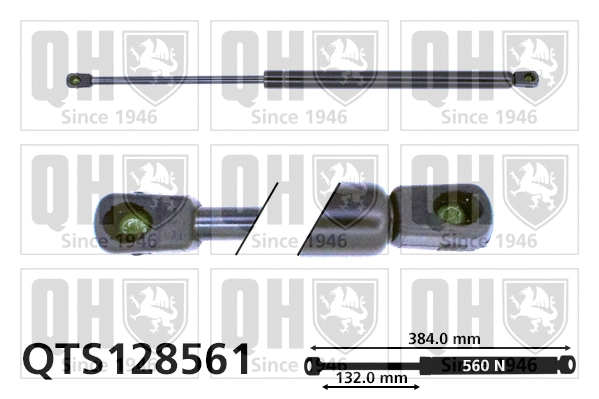 Gas Spring, boot/cargo area (QTS128561)
