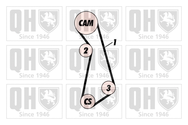 Timing Belt Kit (QBK260)
