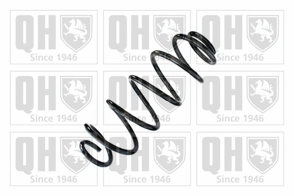 Suspension Spring (QCS8920)