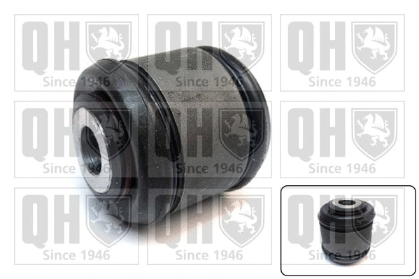 Mounting, control/trailing arm (EMS8733)