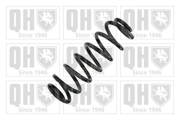 Suspension Spring (QCS9185)