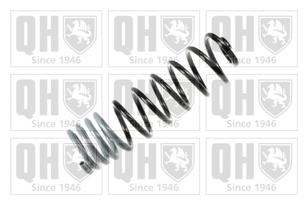 Suspension Spring (QCS6698)