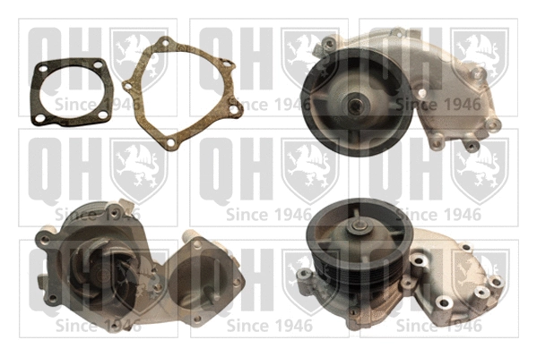 Water Pump, engine cooling (QCP2683)