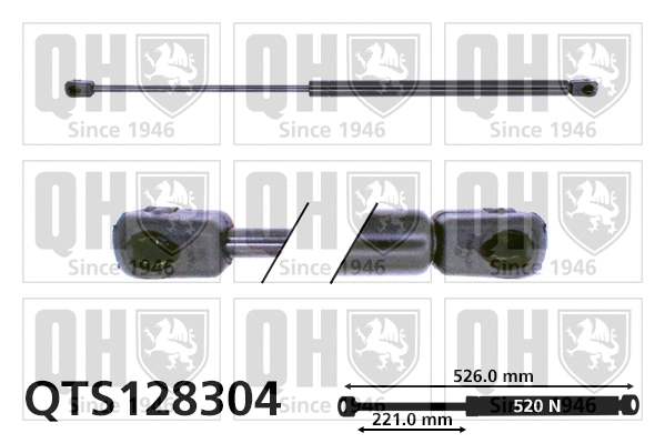Gas Spring, boot/cargo area (QTS128304)