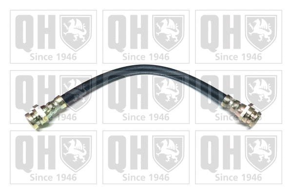 Brake Hose (BFH4924)