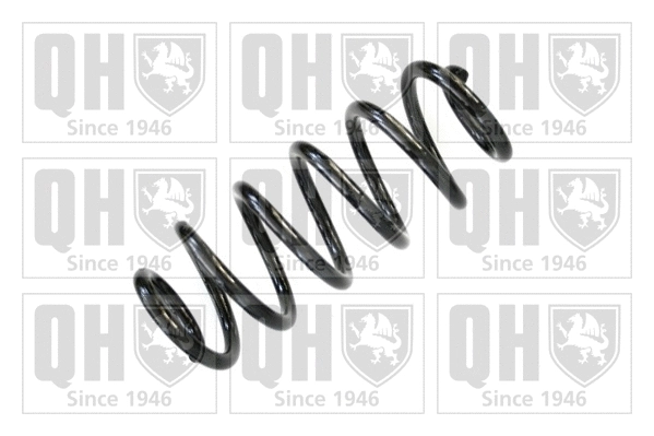 Suspension Spring (QCS5748)