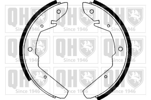 Brake Shoe Set (BS700)