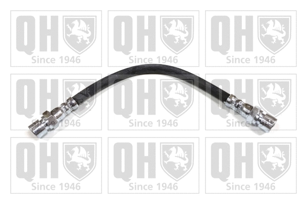 Brake Hose (BFH1014)