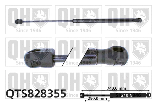 Gas Spring, bonnet (QTS828355)
