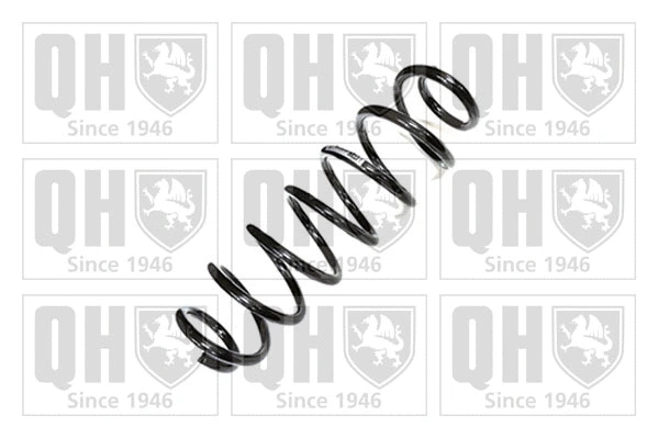 Suspension Spring (QCS8925)