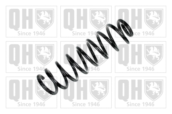 Suspension Spring (QCS6473)