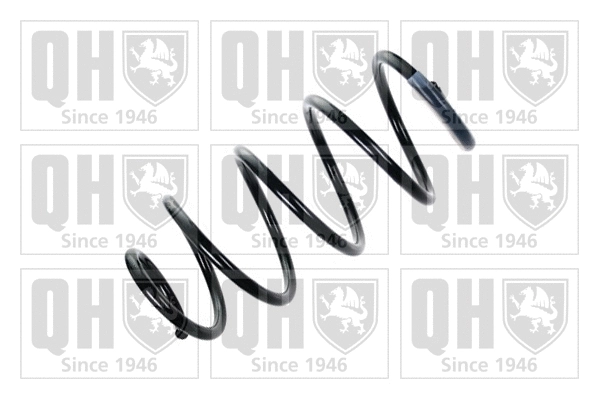 Suspension Spring (QCS5504)