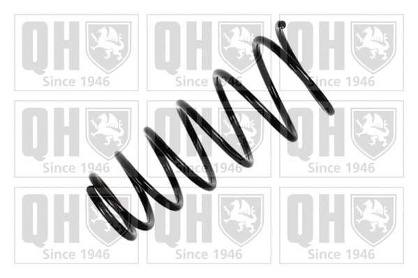 Suspension Spring (QCS5987)
